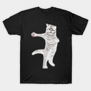 Funny Dancing Cat Lovers Gift T-Shirt